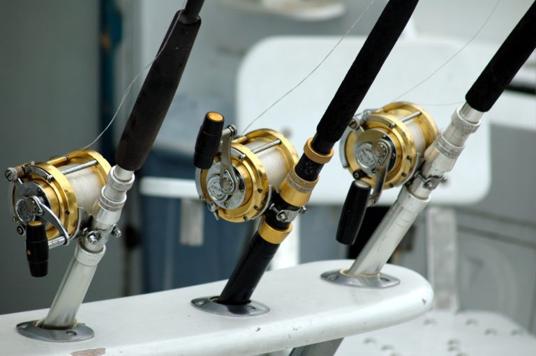 Understanding Fishing Reel Drag Systems: Types, Mechanisms, and Usage Guide